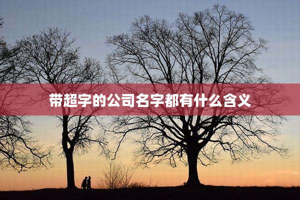 带超字的公司名字都有什么含义