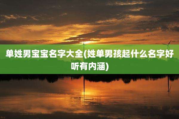 单姓男宝宝名字大全(姓单男孩起什么名字好听有内涵)