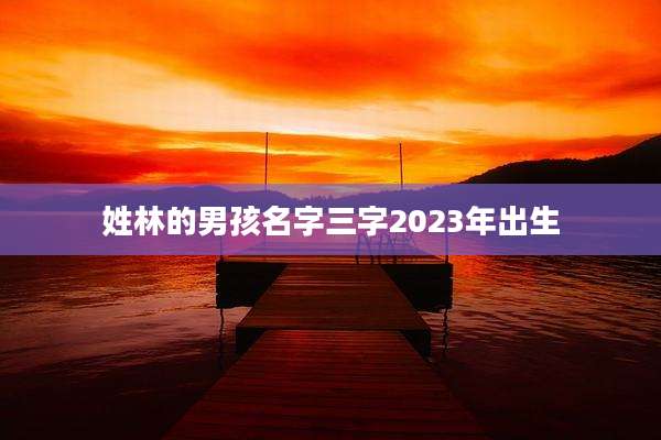 姓林的男孩名字三字2023年出生