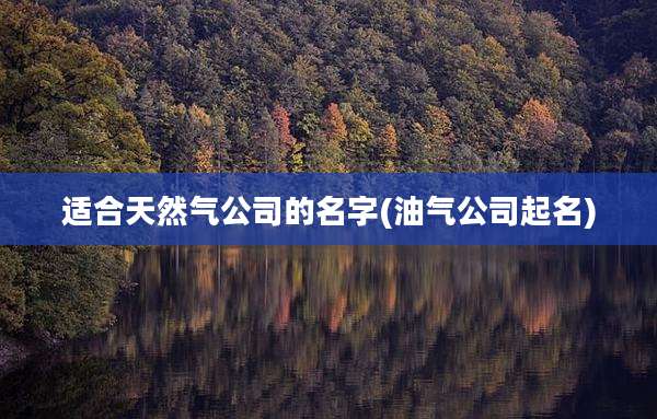 适合天然气公司的名字(油气公司起名)