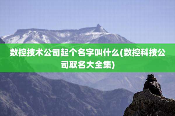 数控技术公司起个名字叫什么(数控科技公司取名大全集)