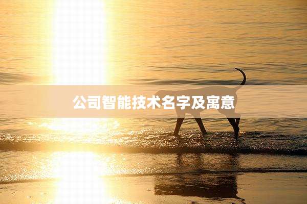 公司智能技术名字及寓意