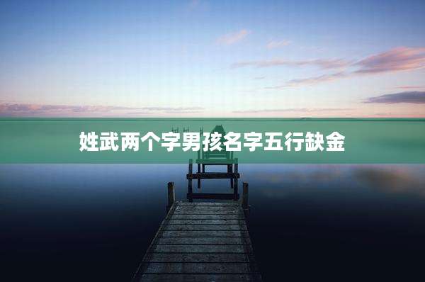 姓武两个字男孩名字五行缺金