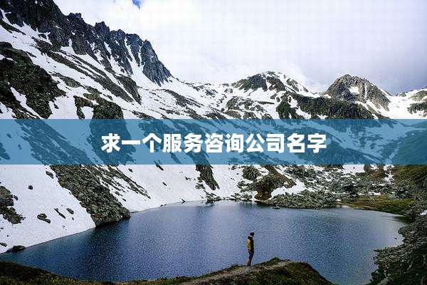 求一个服务咨询公司名字
