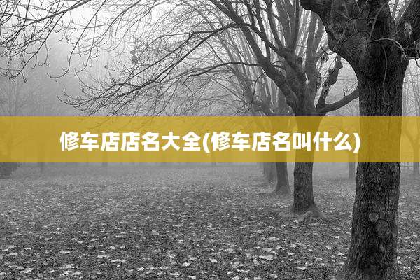 修车店店名大全(修车店名叫什么)