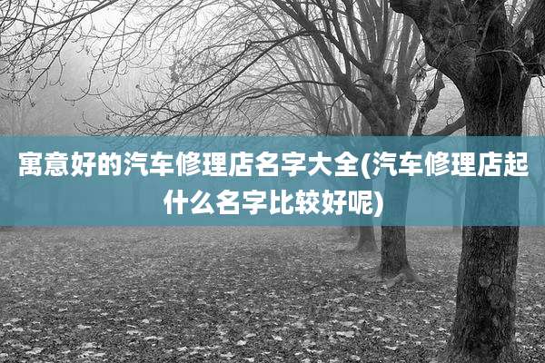 寓意好的汽车修理店名字大全(汽车修理店起什么名字比较好呢)