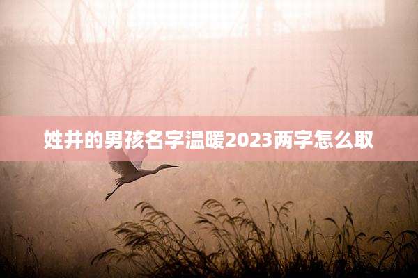 姓井的男孩名字温暖2023两字怎么取