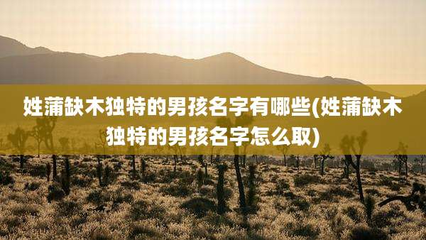 姓蒲缺木独特的男孩名字有哪些(姓蒲缺木独特的男孩名字怎么取)
