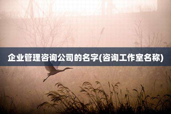 企业管理咨询公司的名字(咨询工作室名称)