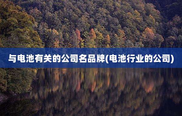 与电池有关的公司名品牌(电池行业的公司)