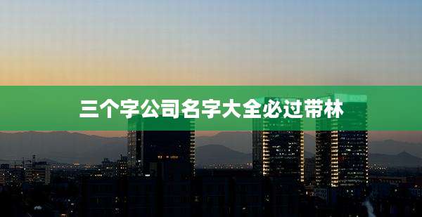 三个字公司名字大全必过带林