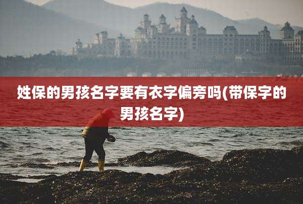 姓保的男孩名字要有衣字偏旁吗(带保字的男孩名字)