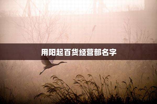 用阳起百货经营部名字
