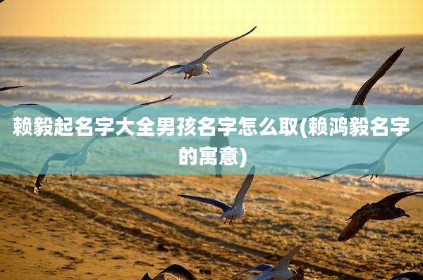 赖毅起名字大全男孩名字怎么取(赖鸿毅名字的寓意)
