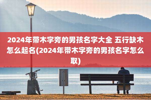 2024年带木字旁的男孩名字大全 五行缺木怎么起名(2024年带木字旁的男孩名字怎么取)