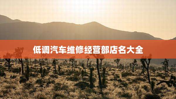 低调汽车维修经营部店名大全