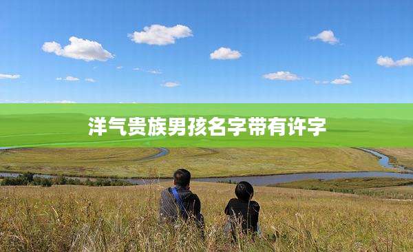 洋气贵族男孩名字带有许字