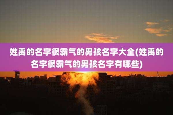 姓禹的名字很霸气的男孩名字大全(姓禹的名字很霸气的男孩名字有哪些)
