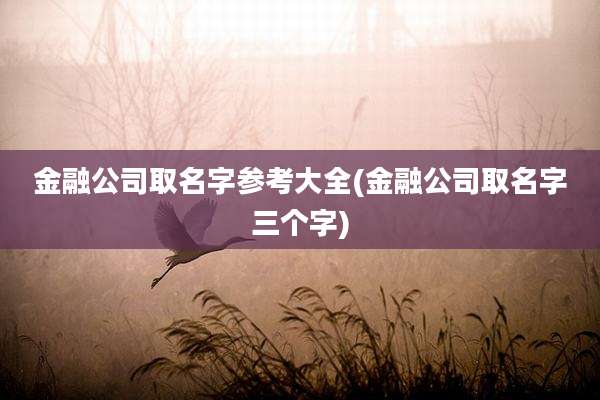 金融公司取名字参考大全(金融公司取名字三个字)