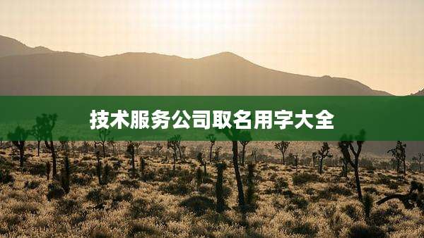 技术服务公司取名用字大全