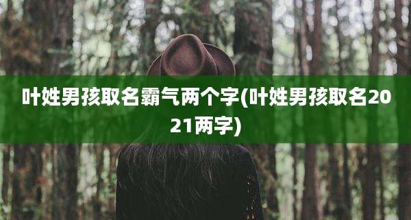 叶姓男孩取名霸气两个字(叶姓男孩取名2021两字)