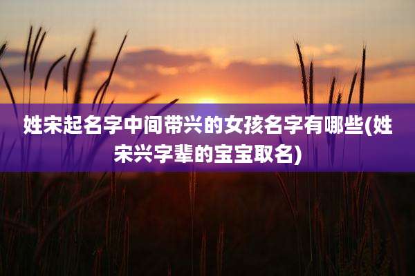 姓宋起名字中间带兴的女孩名字有哪些(姓宋兴字辈的宝宝取名)