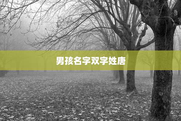 男孩名字双字姓唐