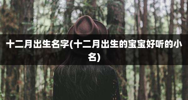 十二月出生名字(十二月出生的宝宝好听的小名)