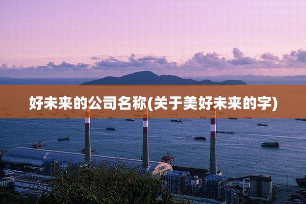 好未来的公司名称(关于美好未来的字)
