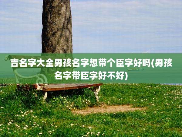 吉名字大全男孩名字想带个臣字好吗(男孩名字带臣字好不好)