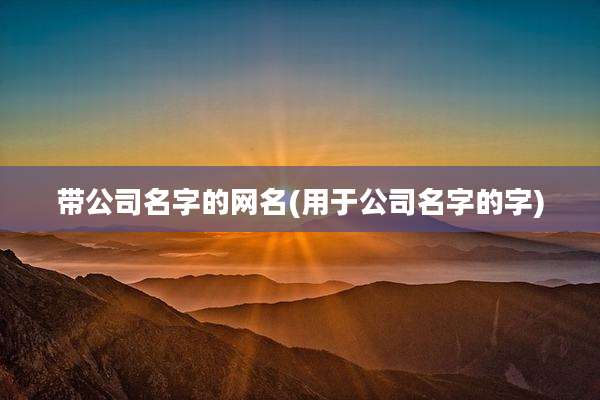 带公司名字的网名(用于公司名字的字)