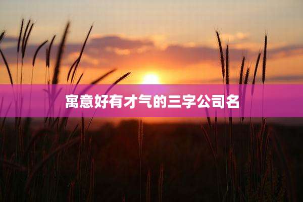 寓意好有才气的三字公司名