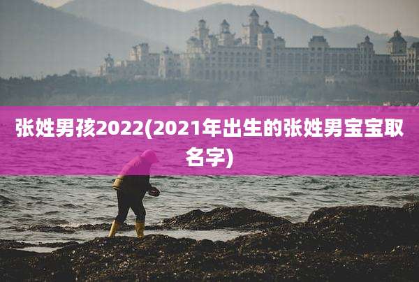 张姓男孩2022(2021年出生的张姓男宝宝取名字)