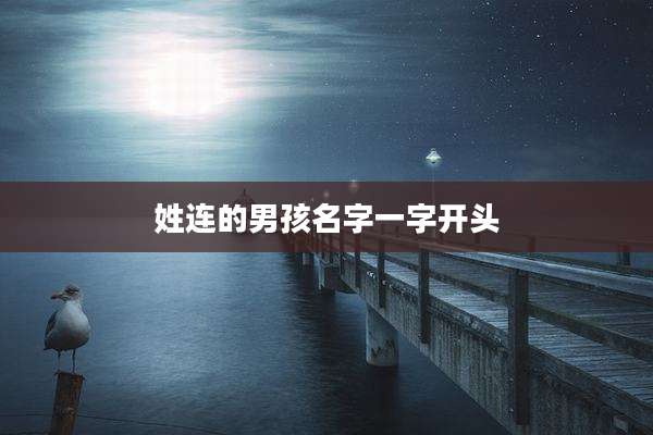 姓连的男孩名字一字开头