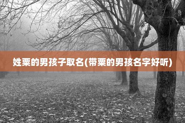 姓粟的男孩子取名(带粟的男孩名字好听)