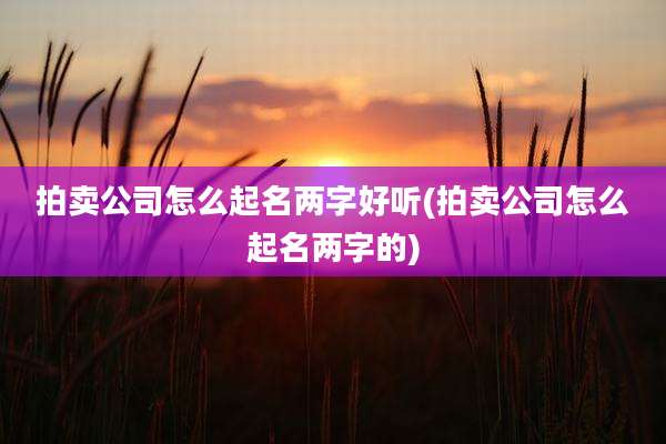 拍卖公司怎么起名两字好听(拍卖公司怎么起名两字的)