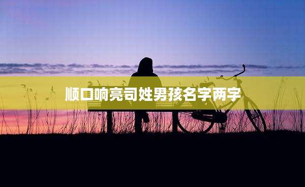 顺口响亮司姓男孩名字两字