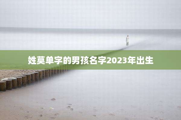 姓莫单字的男孩名字2023年出生