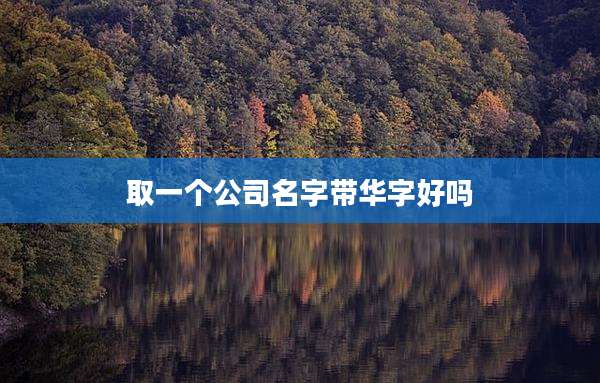 取一个公司名字带华字好吗