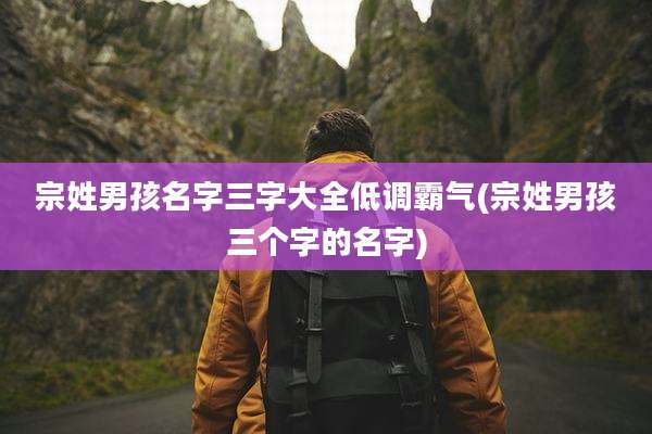 宗姓男孩名字三字大全低调霸气(宗姓男孩三个字的名字)