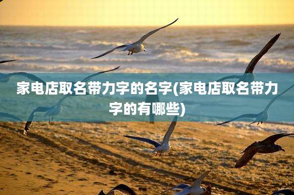 家电店取名带力字的名字(家电店取名带力字的有哪些)