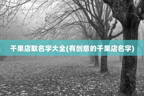 干果店取名字大全(有创意的干果店名字)