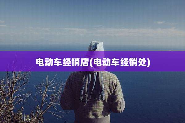 电动车经销店(电动车经销处)