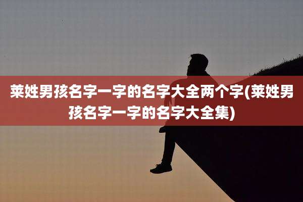 莱姓男孩名字一字的名字大全两个字(莱姓男孩名字一字的名字大全集)