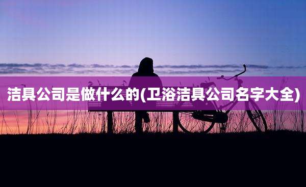 洁具公司是做什么的(卫浴洁具公司名字大全)