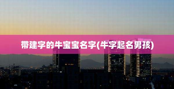 带建字的牛宝宝名字(牛字起名男孩)
