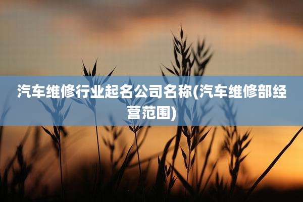 汽车维修行业起名公司名称(汽车维修部经营范围)