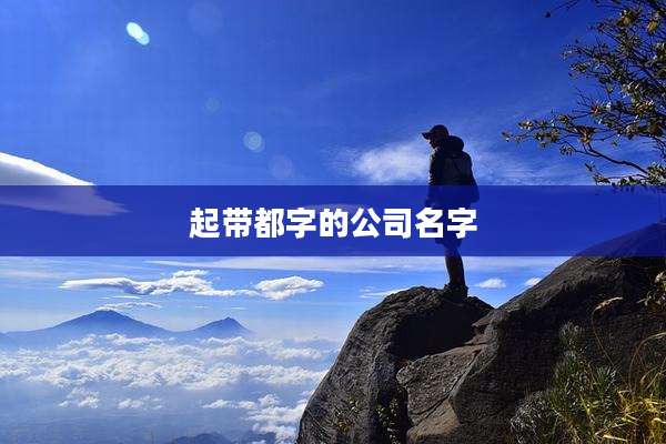 起带都字的公司名字