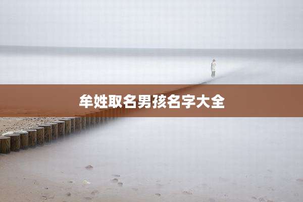牟姓取名男孩名字大全