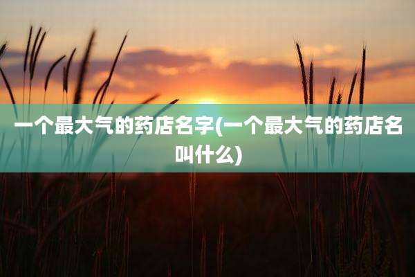 一个最大气的药店名字(一个最大气的药店名叫什么)